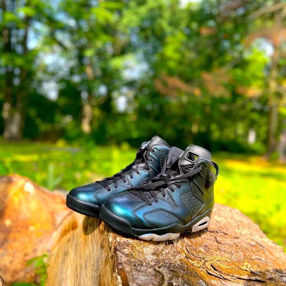 Jordan 6 Retro (2017) All-Star Chameleon Size 11